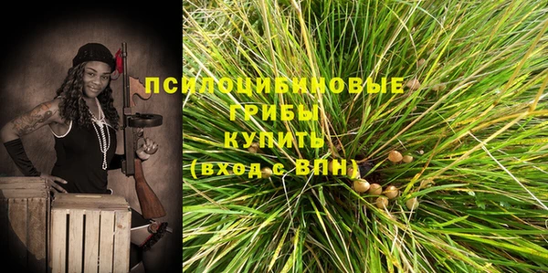сатива Горняк