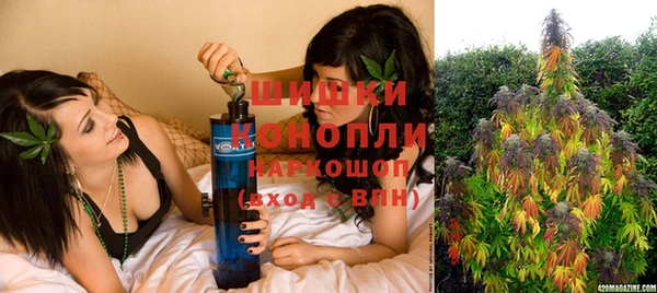 ПСИЛОЦИБИНОВЫЕ ГРИБЫ Сясьстрой
