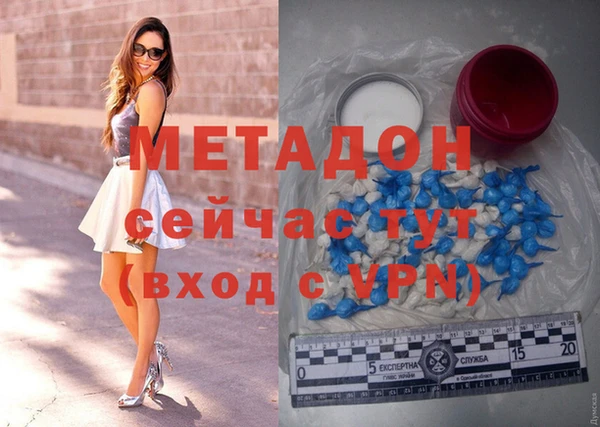 сатива Горняк