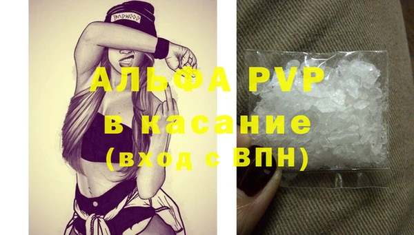 стаф Горнозаводск