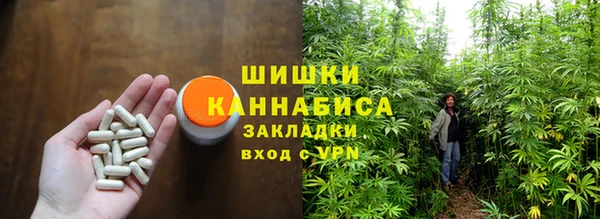 сатива Горняк