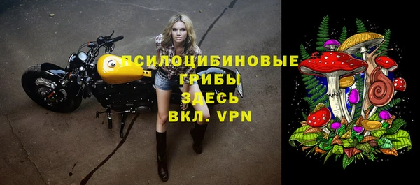 Альфа ПВП Вяземский
