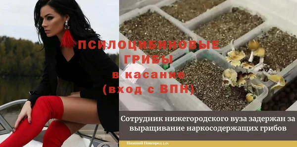 Альфа ПВП Вяземский
