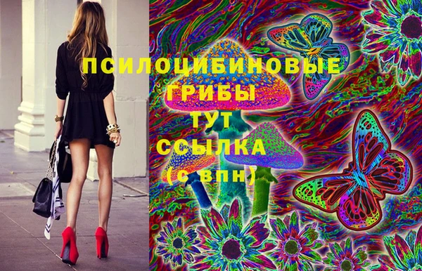 сатива Горняк